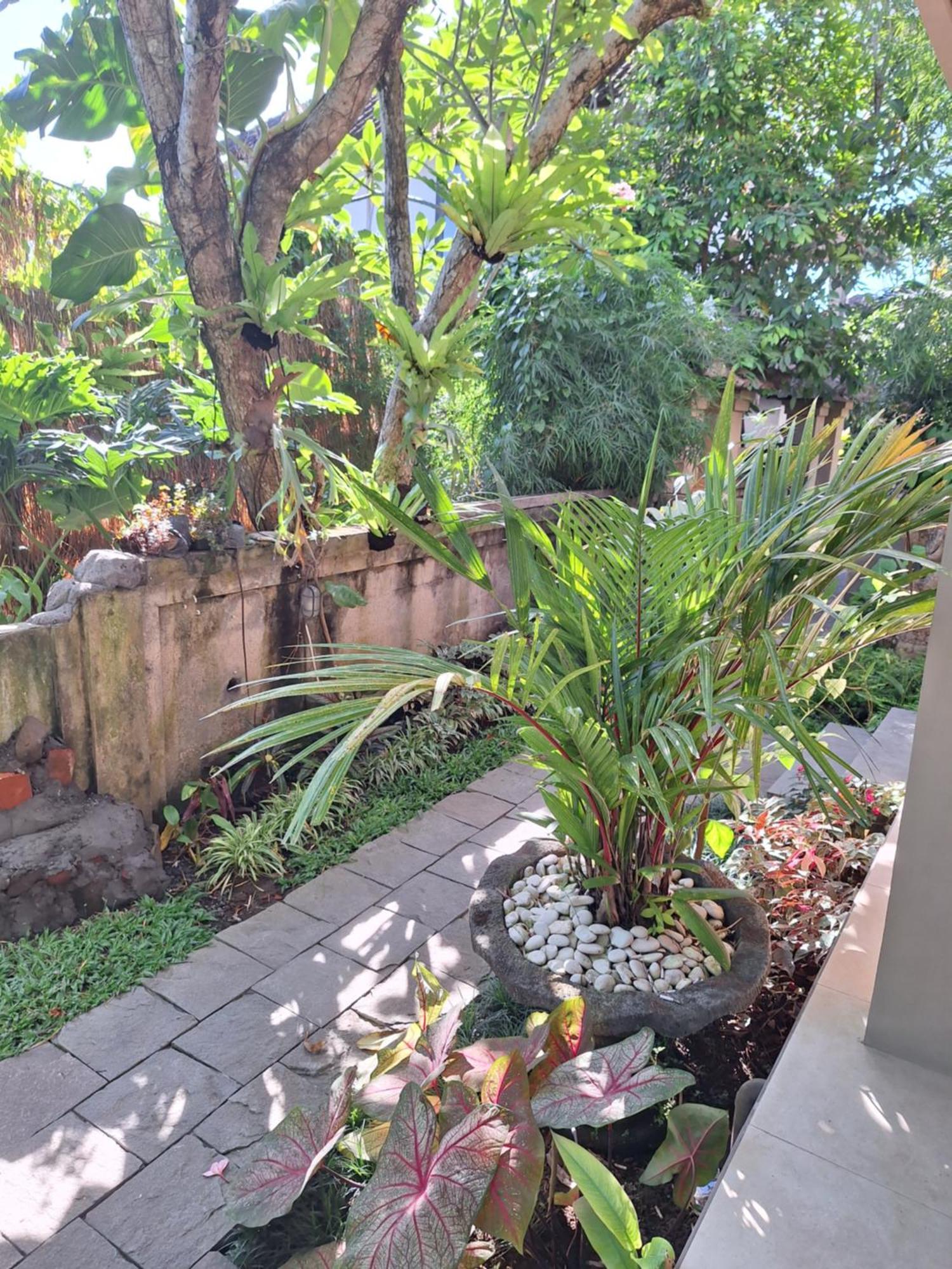 Kasapa Inn อูบุด ภายนอก รูปภาพ