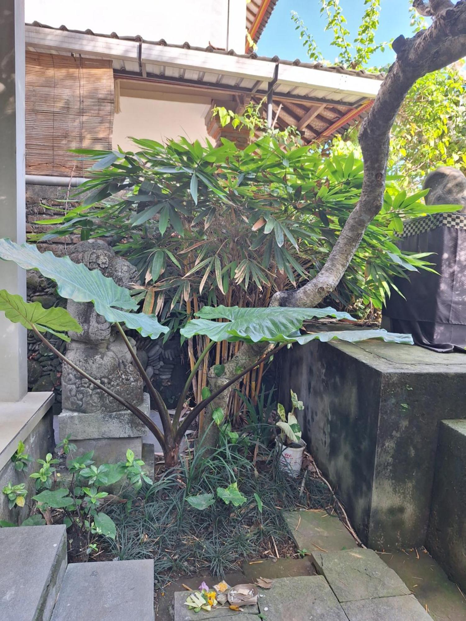 Kasapa Inn อูบุด ภายนอก รูปภาพ