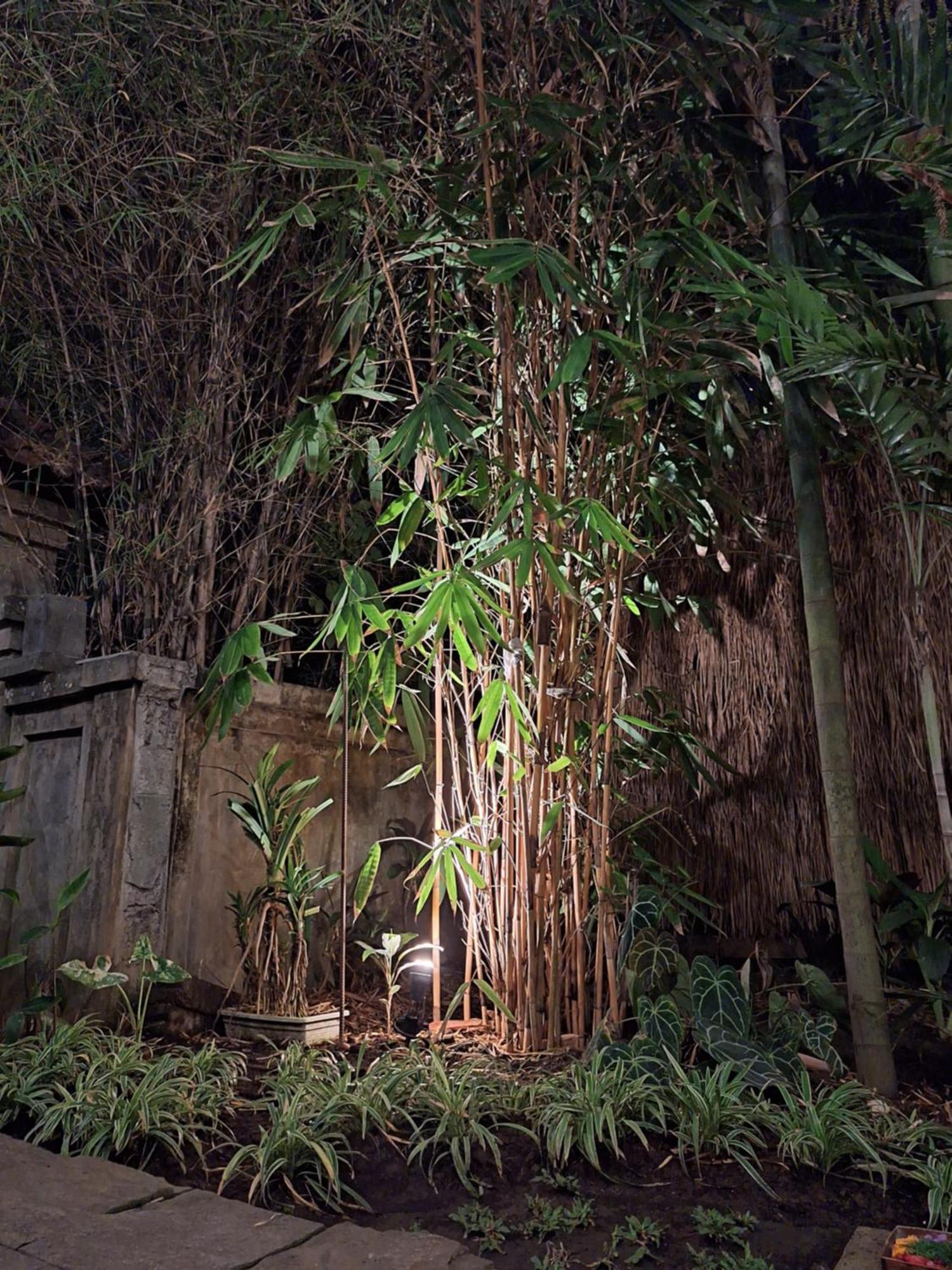 Kasapa Inn อูบุด ภายนอก รูปภาพ